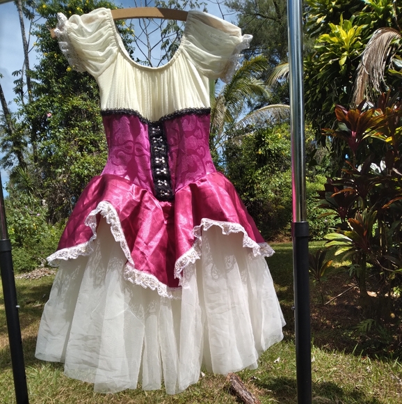 Renaissance Costume Pink Maroon Cream Dress Tulle Ruffle - Picture 5 of 11